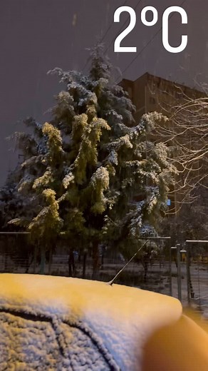 DeLboy Market Marmaris on Reels