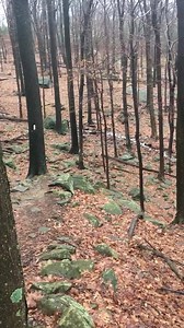 🤙🤙🤙 #appalachiantrail | Campmor