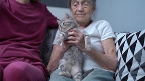 Thérapie féline. Sa fille visite une : vidéo de stock (100 % libre de droit) 1068169850 | Shutterstock