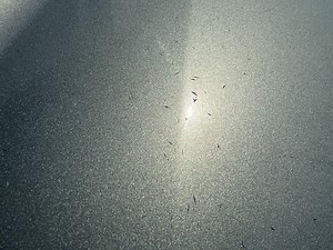 Cracking Clear Coat? Methods to fix or reduce cracking?