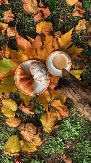 1.7K views · 22 reactions |  #WELCOME #AUTUMN BY  | Planet Gif ಌ | Facebook