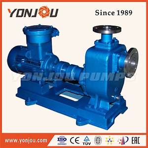 [Hot Item] Horizontal Self-Priming Pump (ZW)