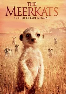 The Meerkats Trailer