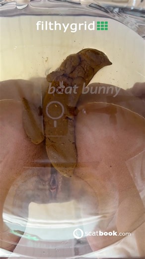 Pov Chair Pee And Poop