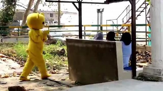 Teddy Bear on TikTok