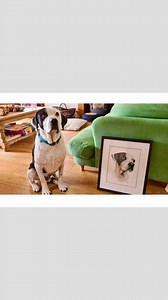 Jess Fox Artist on Reels