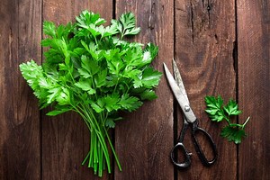 How To Prune Parsley To Promote Growth