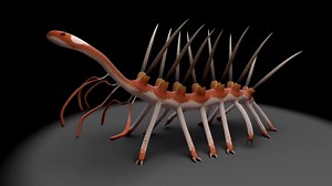 Sétáló Hallucigenia sparsa