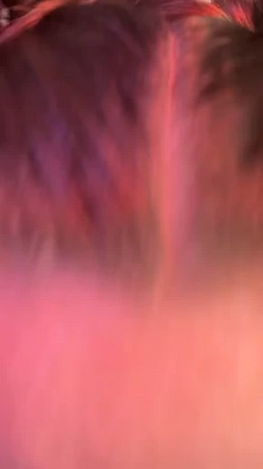 #madhattermakeup #aliceinwonderland #wonderlandmakeup #madhattercosplay #cosplaymakeup #halloweenmakeup #31daysofhalloween #creativehalloweenmakeup #glamhalloweenmakeup #spookymakeup #fantasylook #whimsicalmakeup #artisticmakeup #creativemakeuplooks #makeuptransformation #halloweenbeauty #halloweenmakeuplook #glamandgore #makeuplooks2025 #makeuplover #makeupartist #halloweencreativity #halloweeninspo #spookyseason #colorfulmakeup #makeupaddict #halloweenvibes #spookybeauty #creativeglam #makeupm