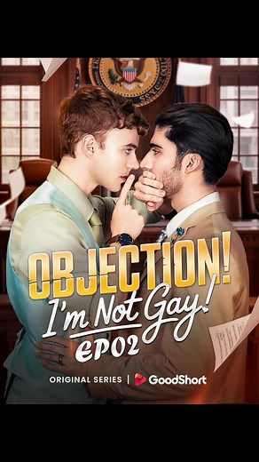 Objection I'm Not Gay: A Tumultuous Courtroom Drama