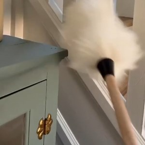 Made from the finest Australian Lambswool, it not only attracts and picks up dust but polishes surfaces as it goes. Perfect for those intricate spaces and treasured items. Let our duster’s gentle fingers take care of your home. Swipe right to see it in action! ✨ #DustWithDelicacy #NatureMeetsNurture #HouseOfFullerMagic #fullerbrushman | The Fuller Brush Company