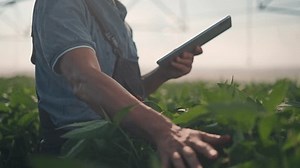 Farmer Checks Plants Agriculture Using Tablet Stock Footage Video (100% Royalty-free) 3981172311 | Shutterstock