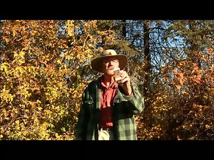 Learn why urine based attractants are not the best bang for your buck. #hunting #tips | Dr. Juice USA | Facebook