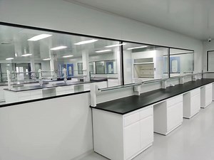 [Hot Item] Cleanroom Engineering Modular Clean Room Class 100 Class 10000 Clean Room Project