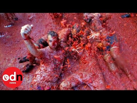 145 TONNES of Tomatoes Thrown During La Tomatina Festival 2019!