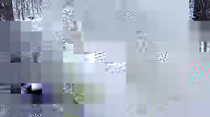 127K views · 10K reactions | The Shoepack Lake Pack traveling through...