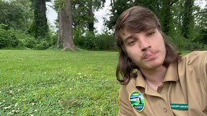 Another Forageable Friday video from Brandon! | Reelfoot Lake State Park