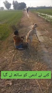 #stargifting | Montazer Montazer