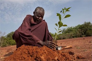 Yacouba Sawadogo - Alchetron, The Free Social Encyclopedia