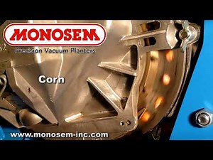 Corn in the Monosem® Precision Meter
