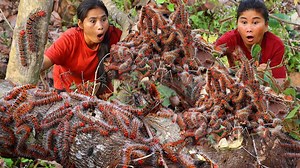 Two Sister finding natural fruit meeting a lot of Worms - Cooking Worms and eating - Survival Skill | Galvin Planet