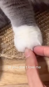 154 reactions · 3 comments | If you don’t love me  | I Love Dudu Bubu | Facebook