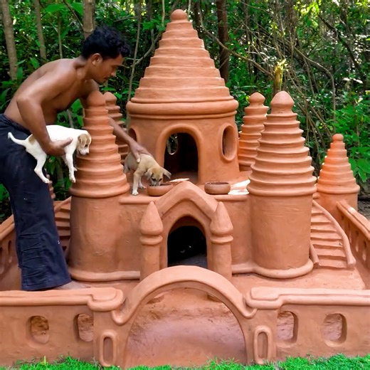 Building a mud house for homeless puppies! ❤️🐶 | MetDaan Tips