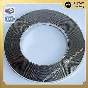 [Hot Item] Chemical Plant Pipeline Flange Sealing O-Type Metal Spiral Wound Gasket