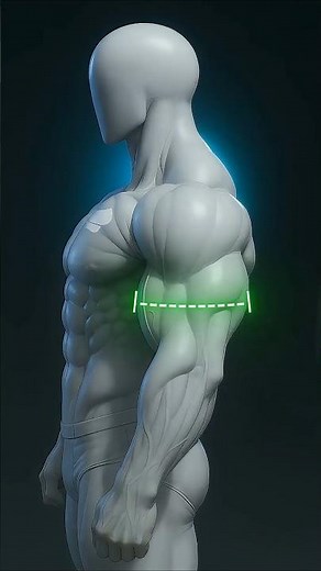 Big from the side but flat from the front? Train the brachialis and build real width.