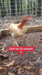 Dink fair 5k sweater  | Kenzie Gamefowl Farm | Facebook
