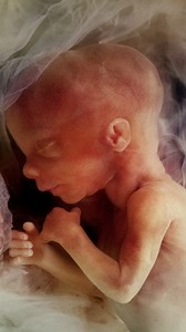 Interesting facts about pregnancy. #Science #Research #Biology | Hashem Al-Ghaili