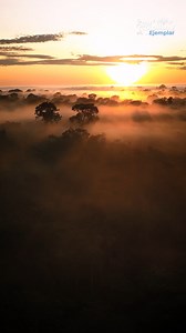 1.7M views · 61K reactions | El amor por Colombia nace en el orgullo de nuestro pueblo, ciudad, departamento y región, pero se extiende por todo nuestro territorio. Estamos orgullosos de esta Colombia espiritual, intangible y profunda que nos regala a todos su amor y belleza. ¿Tú también eres Colombia? | Yo Soy Colombia | Facebook