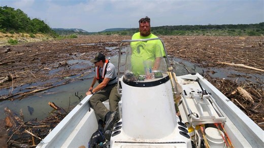 Lake manager: Cattle, two large debris fields found in Stillhouse Hollow Lake