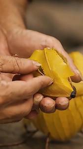 Un anciano hace un pajaro con hojas 😱 #talento #naturaleza #reflexiones #Humildad | Eric Clips