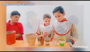 #gulshanmiddlebranch #sciencefacts #germination #grade5 | YEN Academy - Cambridge Stream, Karachi | Facebook