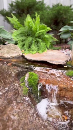 19 reactions | Twists and turns of a waterfall  #aquascape #waterfall #pondlesswaterfall #water #twist #turn #flow #waterfeature #nature #outdoors #moss #plants #beautiful #landscape #landscapedesign #watergarden #inspiration | Aquascape Pond Shop | Facebook