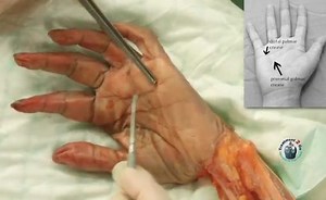 Sorry, we have encountered a problem. - Alexander Street, a ProQuest Company