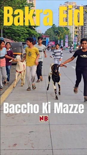 Bache aur Bakre 😎🐐♥️ #bakraeid #bakraeid2025 #bakraeidspecial #bakra #goats #trending #biggoats