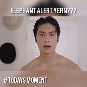 70K views · 1.1K reactions | Me after seeing Elephant for the first time. 5555+ #TEP2022 | Thai Entertainment Portal | Facebook