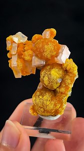 8.4K views · 11K reactions | This mineral has a long and interesting history! 李 High quality orpiment specimens are hard to find these days, so we are incredibly excited to offer you a small, old-stock batch mined 15 years ago. These pieces feature golden yellow orpiment crystals contrasted against clear, bladed formations of barite. Quiruvilca Mine, Quiruvilca District, Santiago de Chuco Province, La Libertad, Peru.  | Spirit Nectar | Facebook