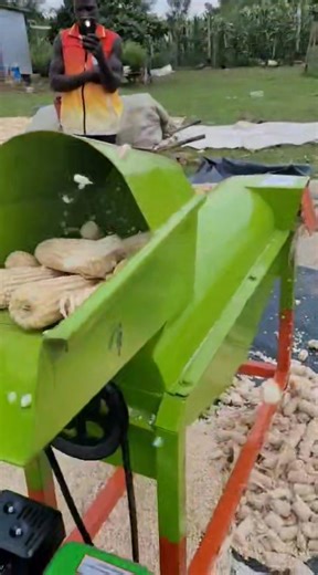 Maize sheller machine safety separates maize from the cobs without harming its germinating capacity call us 0719 340769 or visit us in nakuru #poshomill #freedelivery #business #kisiagi #fypageシ #fypageシforyoupageシ | Baraka Farmtech machinery services