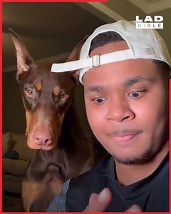 Intelligent dog and funny owner 🤣👻🐶🐹 | Follow us in Pet Fans Club #Pet #Dog #Funny #Cute | Pet Fans Club