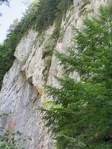 La pas printre Prăpăstiile Zărneștilor! Visit Brasov Romania 🇷🇴 Visit Zarnesti ❤️ #Romania #PiatraCraiului #PrapastiileZarnestilor #NaturaSalbatica #HikingRomania #AventuraInAerLiber #MunteleMeu #PeisajeNaturale #ExploreazaRomania | Visit Brasov Romania