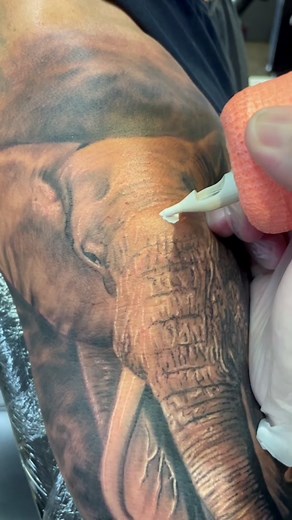 Unique Elephant Tattoo Designs and Meanings