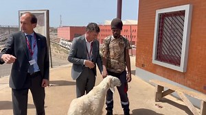 À l’approche de la Tabaski, le TER célèbre ses voyageurs les plus fidèles. Dans notre volonté constante de placer nos clients au cœur de nos actions, nous avons eu le plaisir d’offrir un mouton à Djibril, abonné régulier du TER, pour saluer sa fidélité et sa confiance renouvelée. 🙏 Un geste symbolique pour honorer un client qui incarne l’esprit du TER : régularité, engagement et proximité. #TabaskiAkTER #TER | TER DAKAR