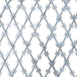 [Hot Item] Prison Security Mesh Fence Hot Dipped Galvanized Concertina Double Strand Razor Blade Barbed Wire
