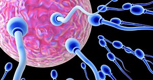 Bác sĩ nam khoa chỉ tên 6 loại thuốc có thể gây vô sinh nam