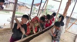 24K views · 452 reactions | The Log Drum is more than an instrument to the Nagas. It is a sacred symbol of unity, tradition, and ancestral voice, echoing through generations. Video via Mmhonlumo Kikon | Naga Hills | Facebook