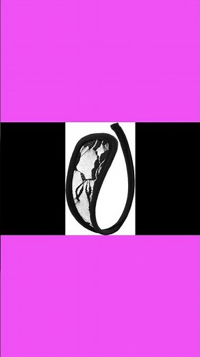 womens sexy C string Lingerie part5 #fashionindustry