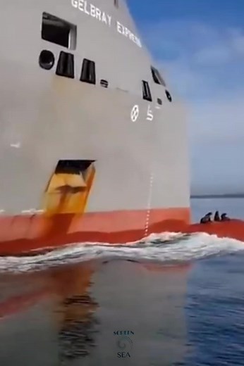 Happy trip😃🌊⚓ Sea screen #sailor #marine #sea #explorer #shipping #navigation #sea_screen #sealife #ship #merchantmarine #seaman #sailorlife #merchantnavy #lifeonship #maritime #shiplife | Sea screen